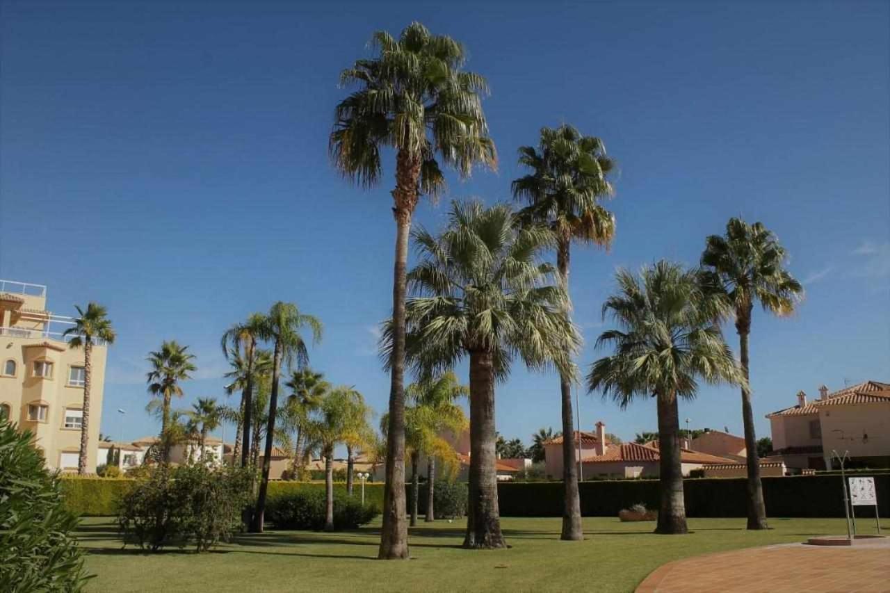 Apartamento De Lujo En La Playa Олива Экстерьер фото